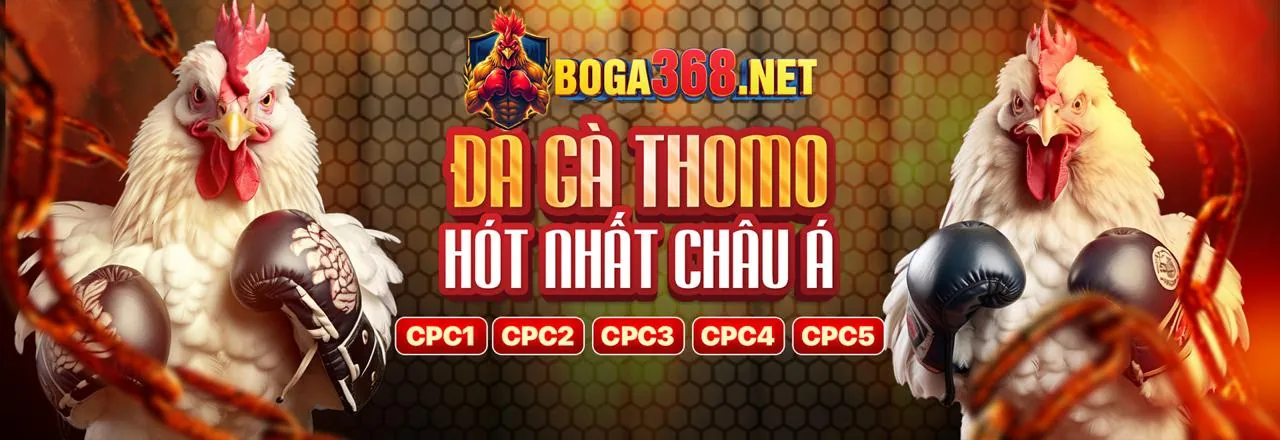 Hình ảnh tổng quan về dịch vụ hỗ trợ khách hàng chuyên nghiệp của cm88 nổ hũ